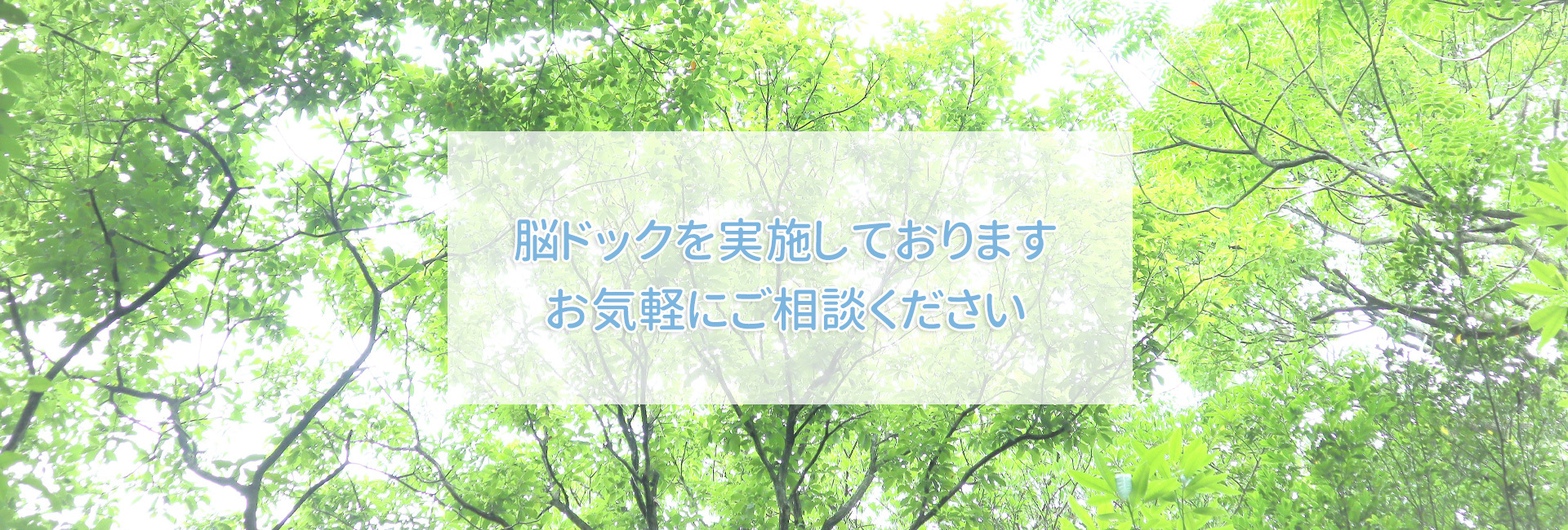 田中クリニック,脳神経外科,整形外科,リハビリテーション科